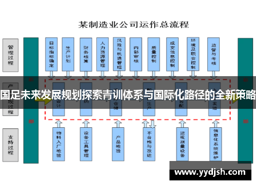 国足未来发展规划探索青训体系与国际化路径的全新策略